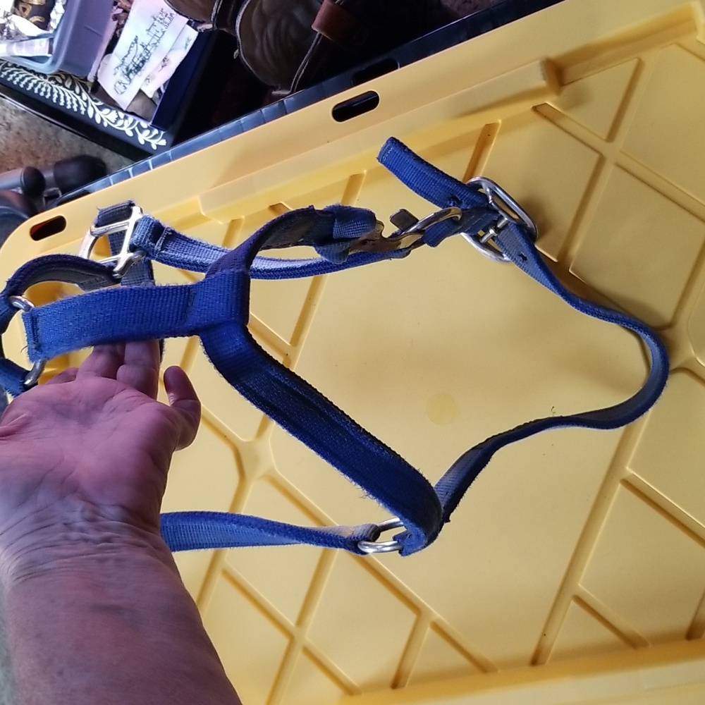 🐴ADJUSTABLE HORSE HALTER - Picture 7 of 8